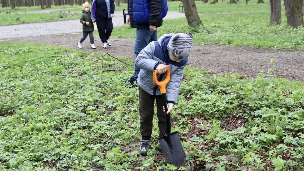 У парку Тараса Шевченка висадили 25 дубів 2
