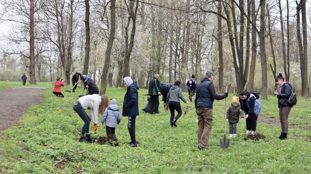 У парку Тараса Шевченка висадили 25 дубів 4