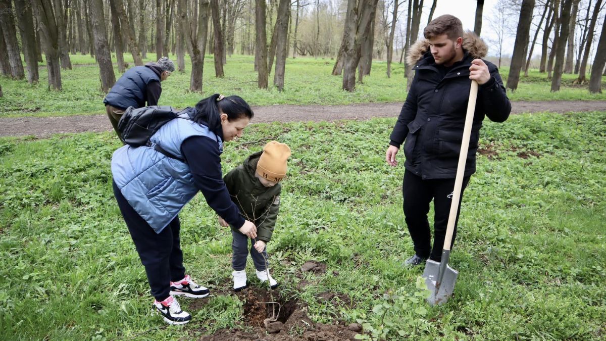 У парку Тараса Шевченка висадили 25 дубів 5