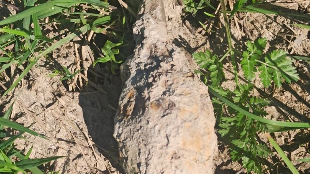 На Коломийщині піротехніки знищили боєприпаси часів ІІ Світової війни 1