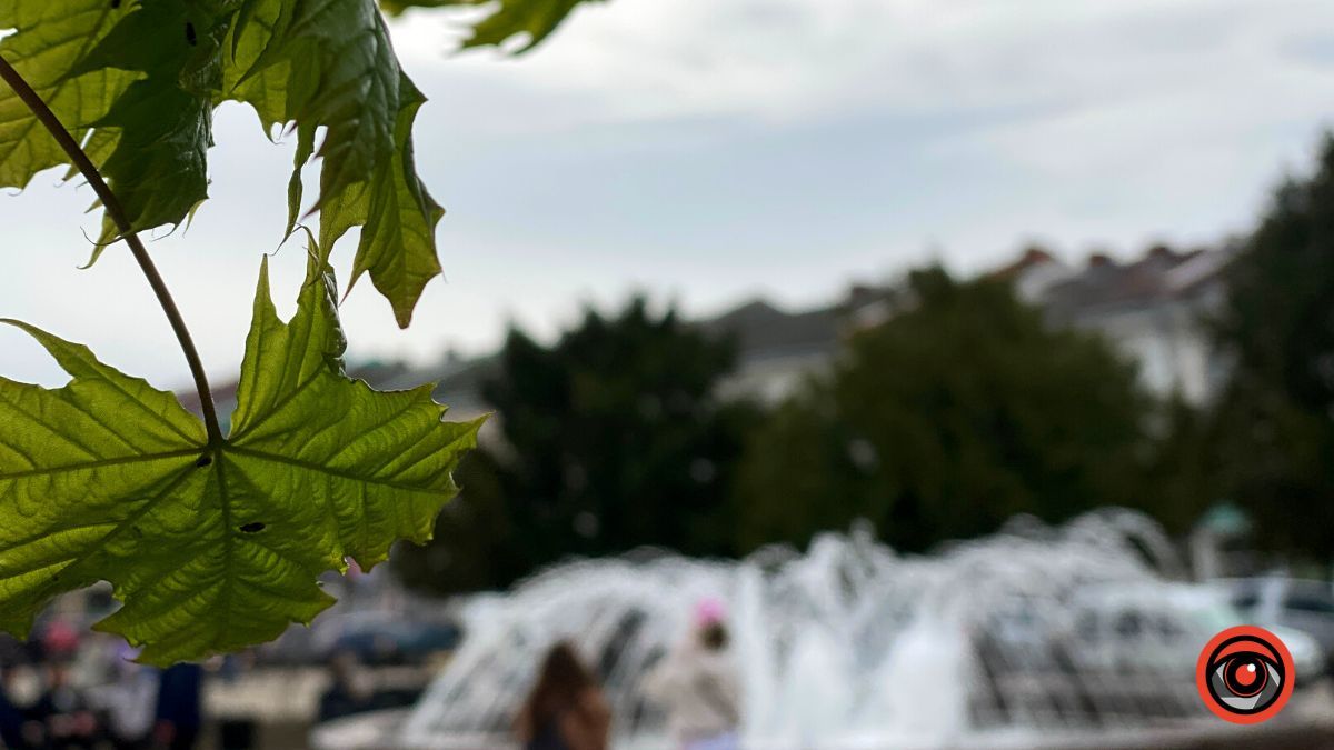 Один день у квітучій Коломиї: фоторепортаж 10