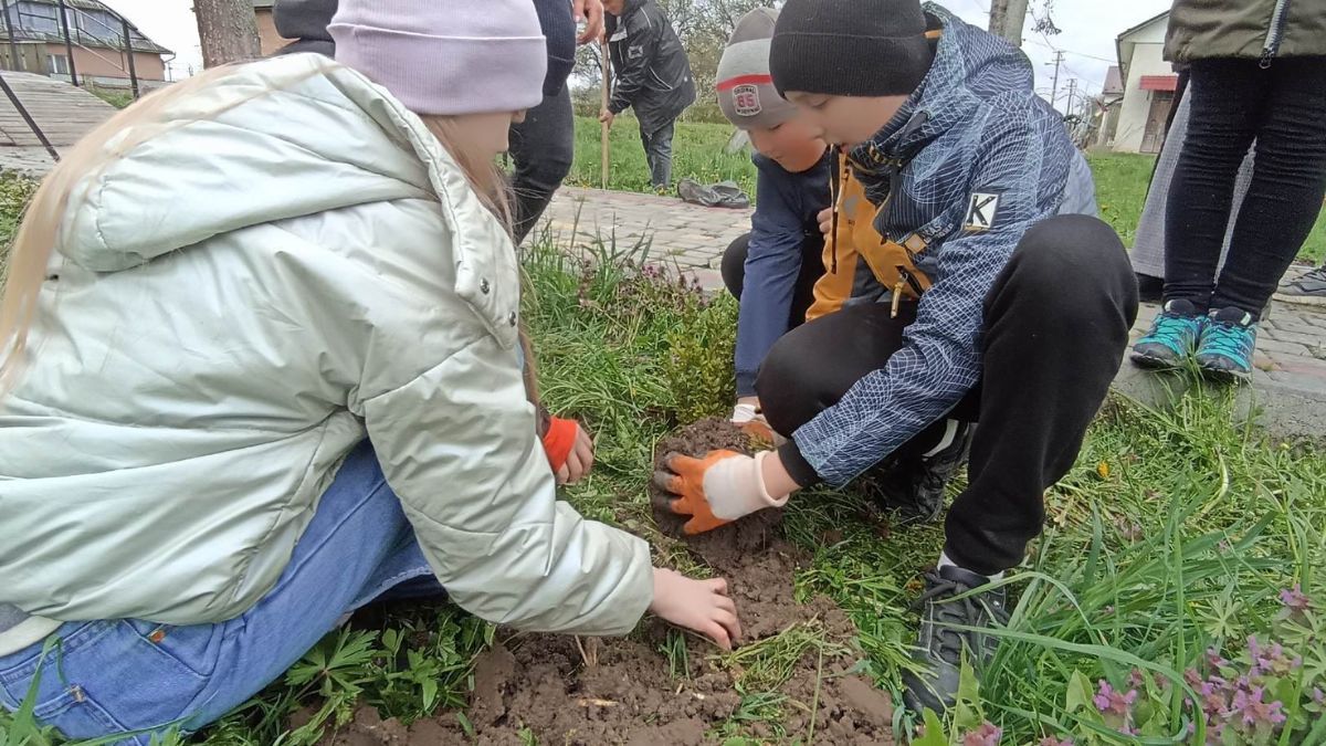 У Печеніжинській ТГ триває озелення населених пунктів 2