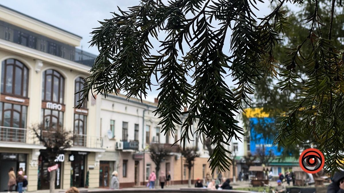 Похмуро і прохолодно: прогноз погоди в Коломиї на 3 квітня