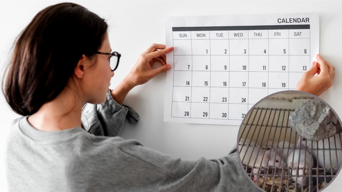 24 квітня: яке сьогодні свято?