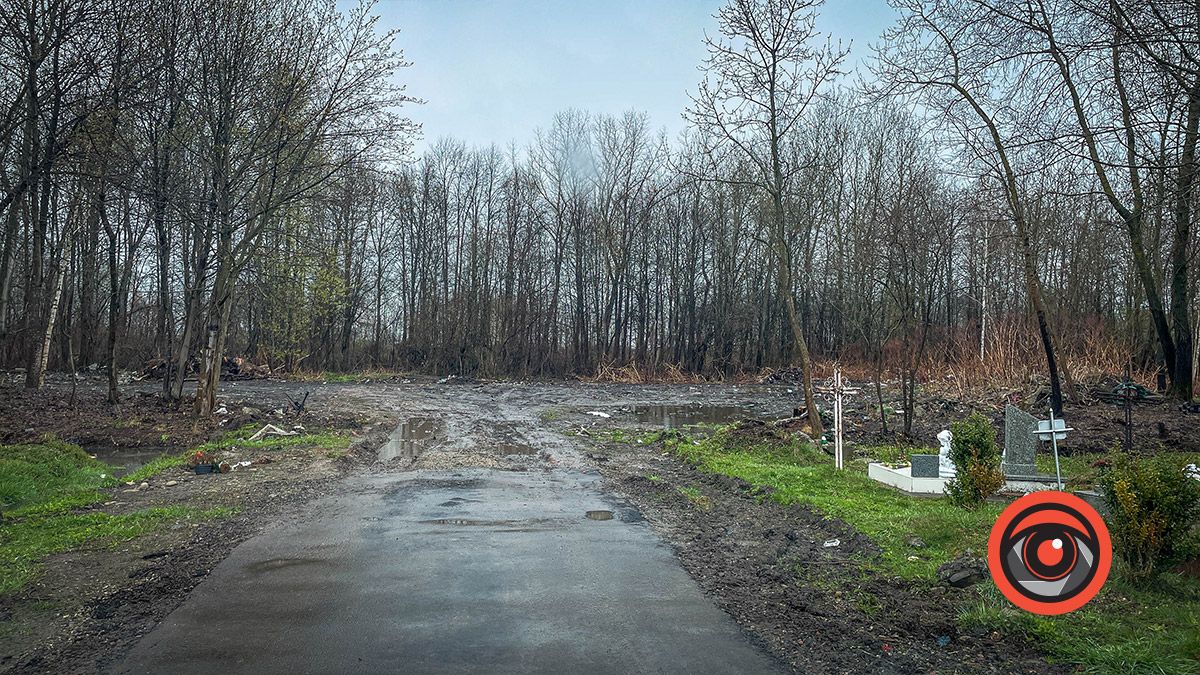 Могили у воді, а крізь новий асфальт прорізались кульбаби: як виглядає кладовище в Коломиї 2