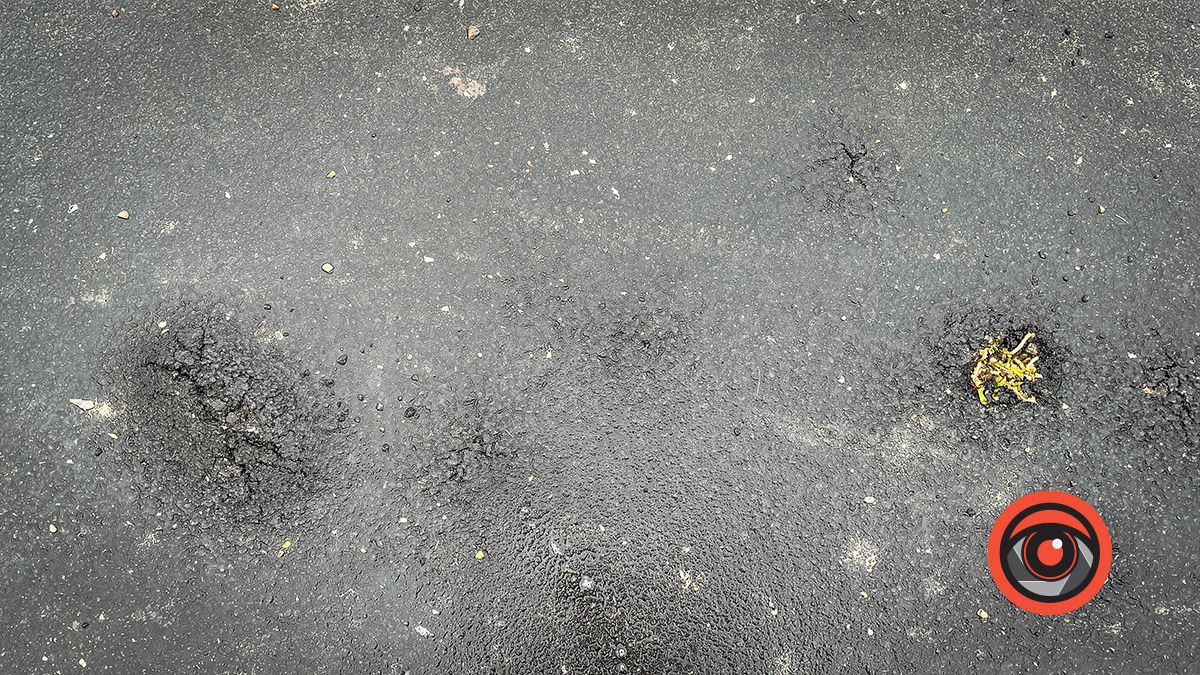 Могили у воді, а крізь новий асфальт прорізались кульбаби: як виглядає кладовище в Коломиї 22