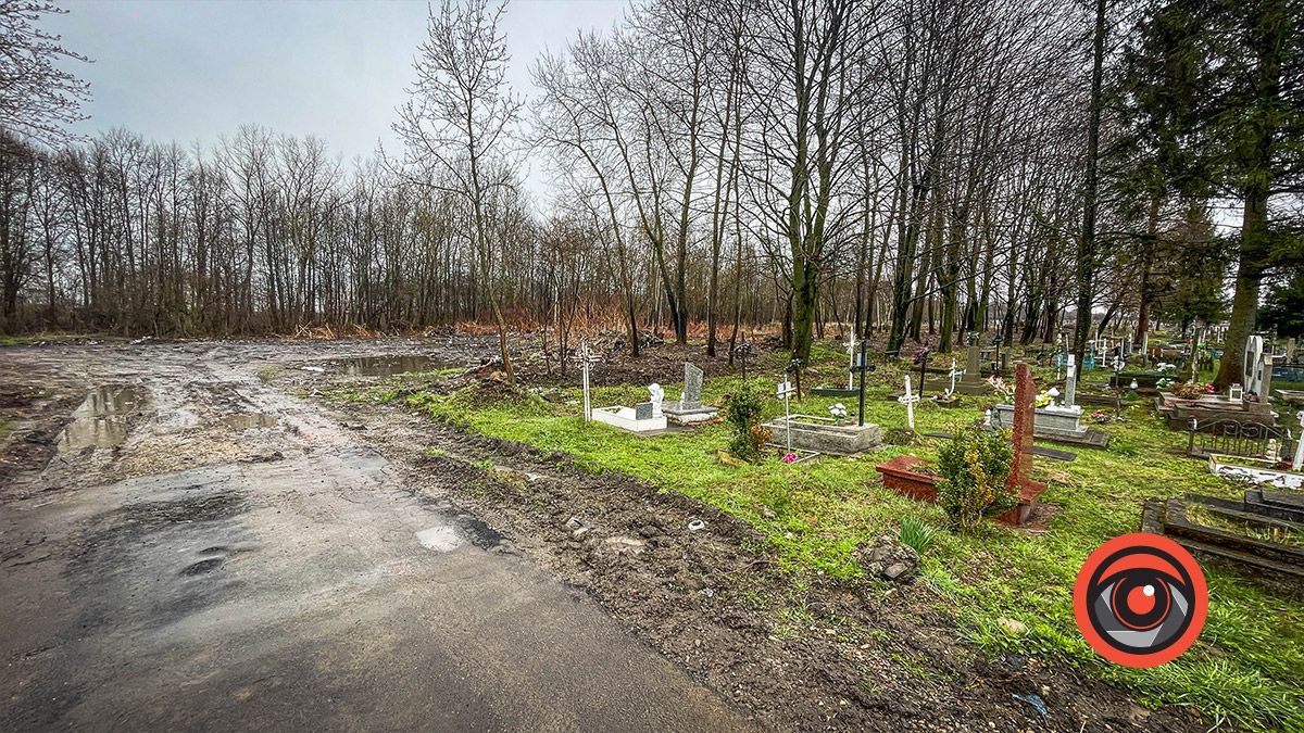 Могили у воді, а крізь новий асфальт прорізались кульбаби: як виглядає кладовище в Коломиї 5