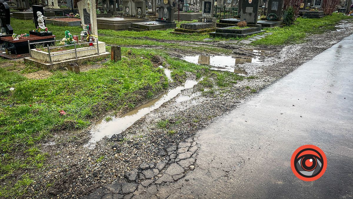 Могили у воді, а крізь новий асфальт прорізались кульбаби: як виглядає кладовище в Коломиї 7