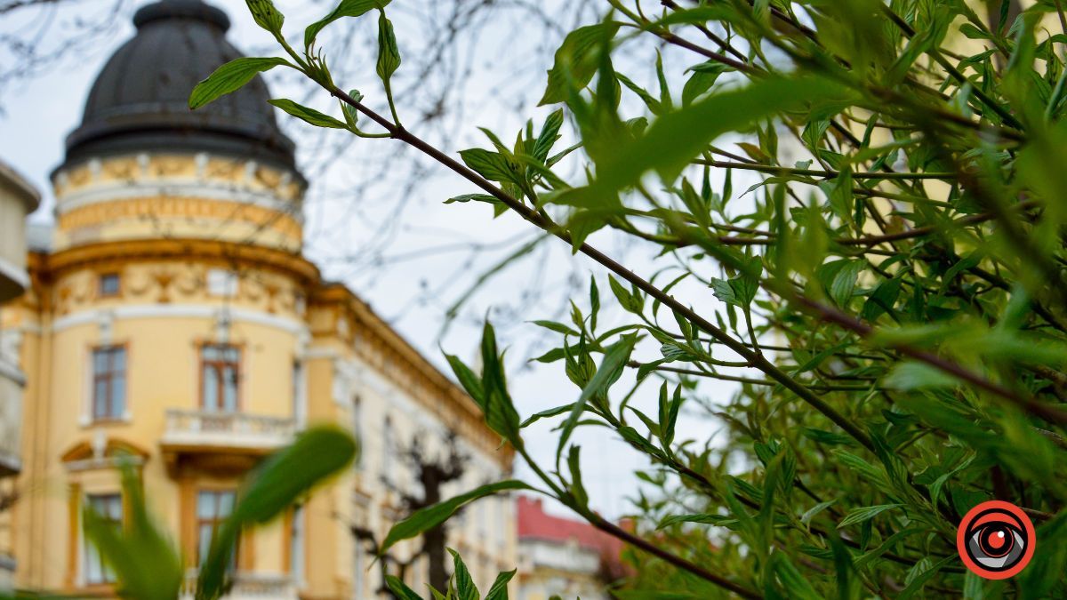 Куди піти у Коломиї 10 червня