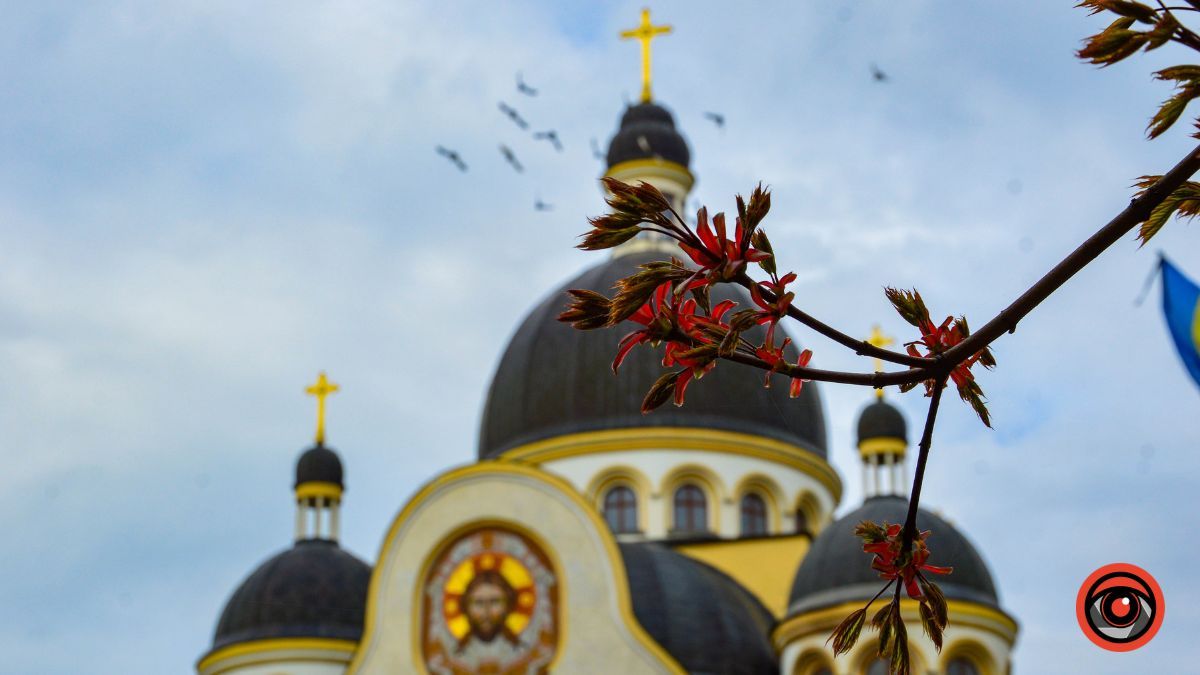 Один день у квітучій Коломиї: фоторепортаж 12