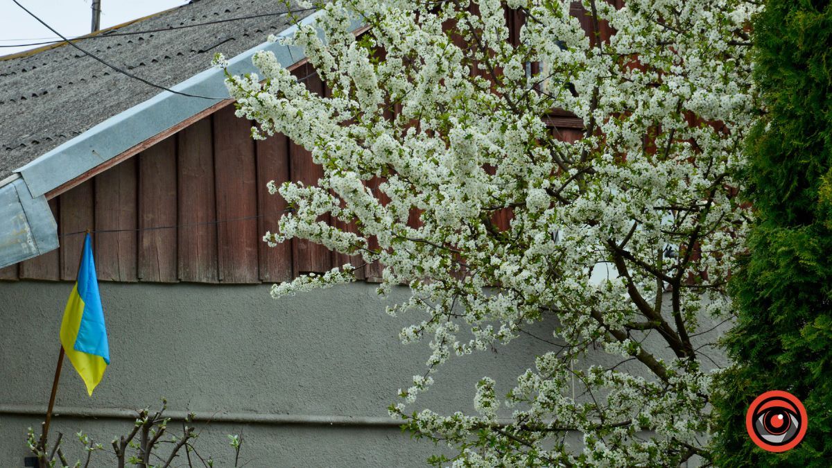 Один день у квітучій Коломиї: фоторепортаж 16