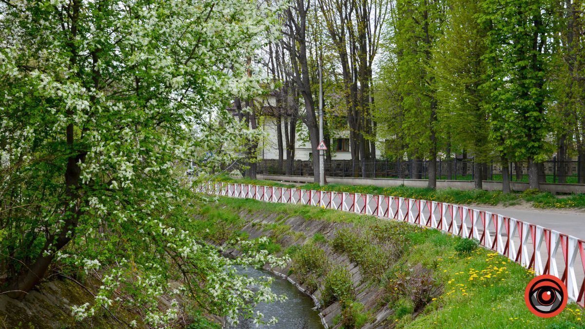 Один день у квітучій Коломиї: фоторепортаж 20