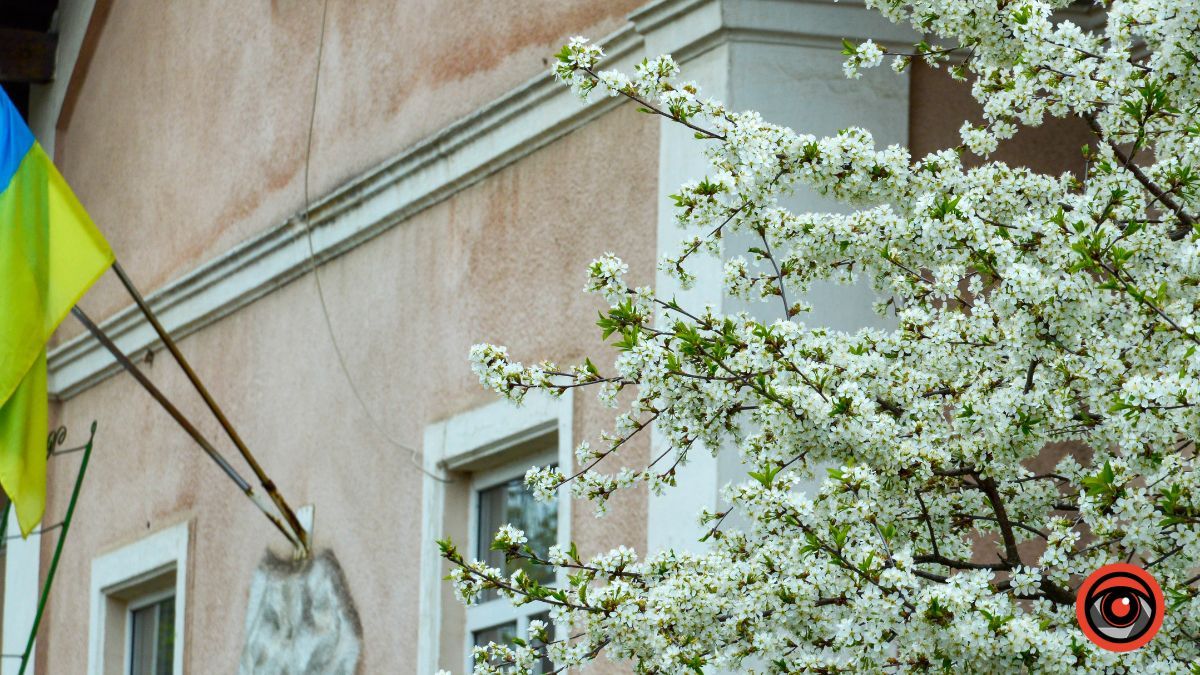 Один день у квітучій Коломиї: фоторепортаж 19
