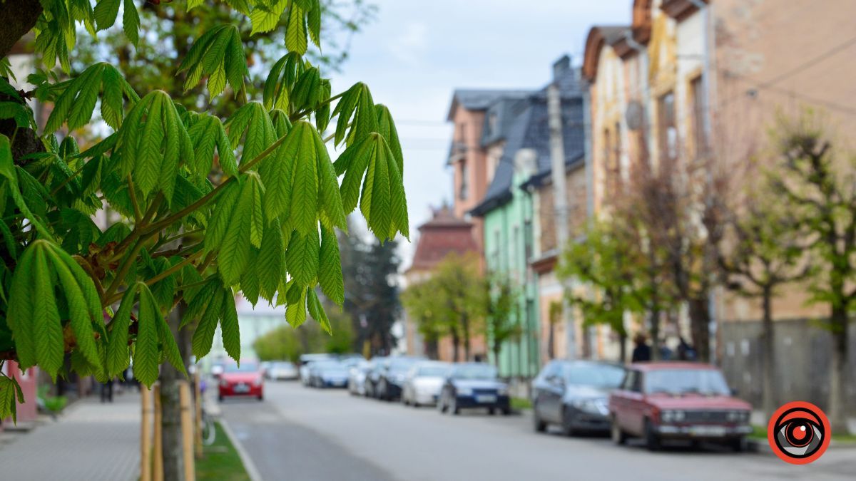 Один день у квітучій Коломиї: фоторепортаж 1