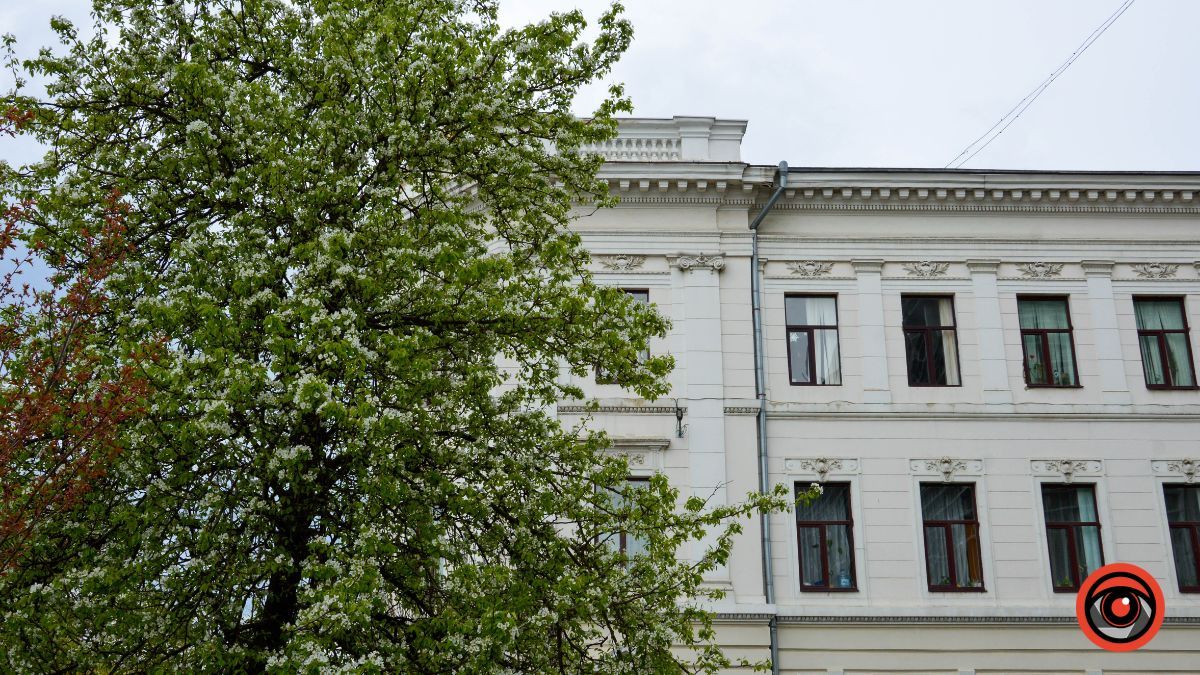 Один день у квітучій Коломиї: фоторепортаж 2