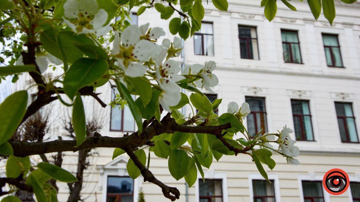 Погода у Коломиї 14 квітня