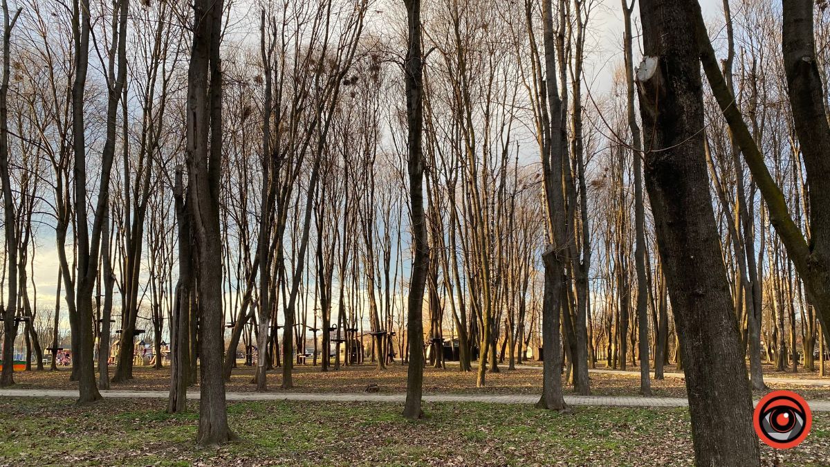 Якою була Коломия в березні 2023 року? | Фоторепортаж 12