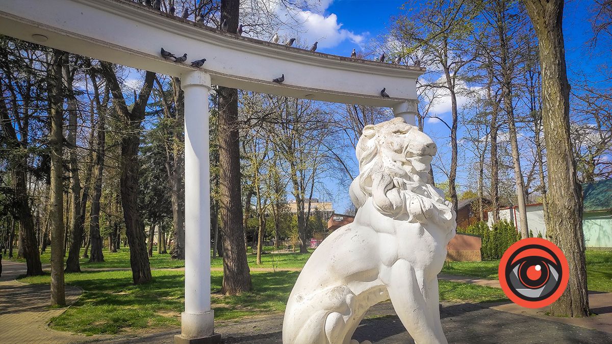 Болюче питання: як виглядають парки Коломиї та Моршина 8