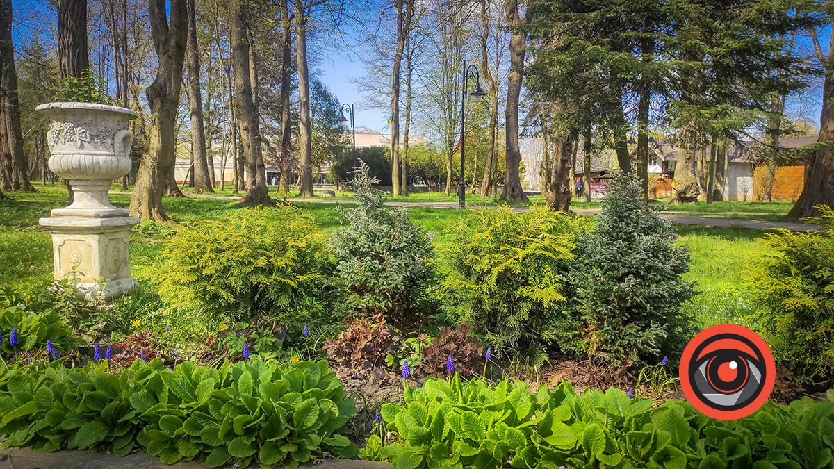 Болюче питання: як виглядають парки Коломиї та Моршина 10