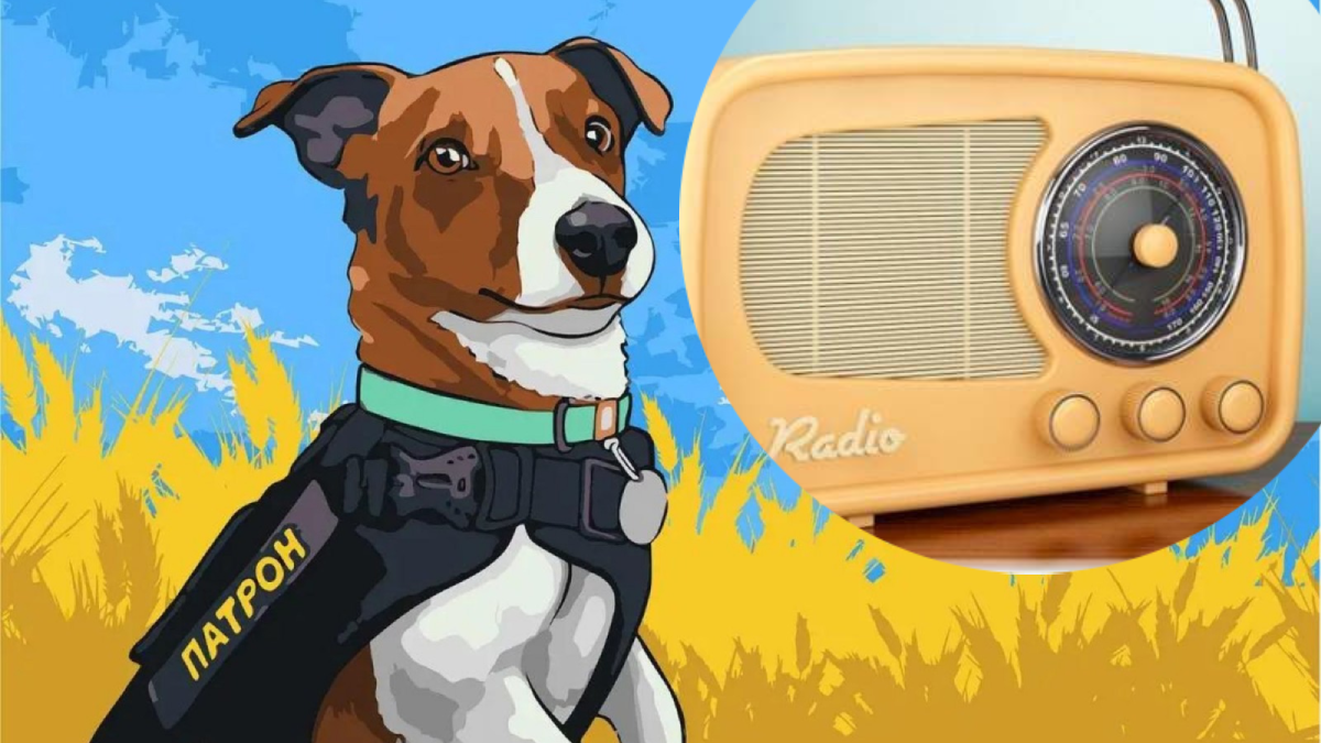 Радіодиктант від пса Патрона мають змогу написати маленькі українці