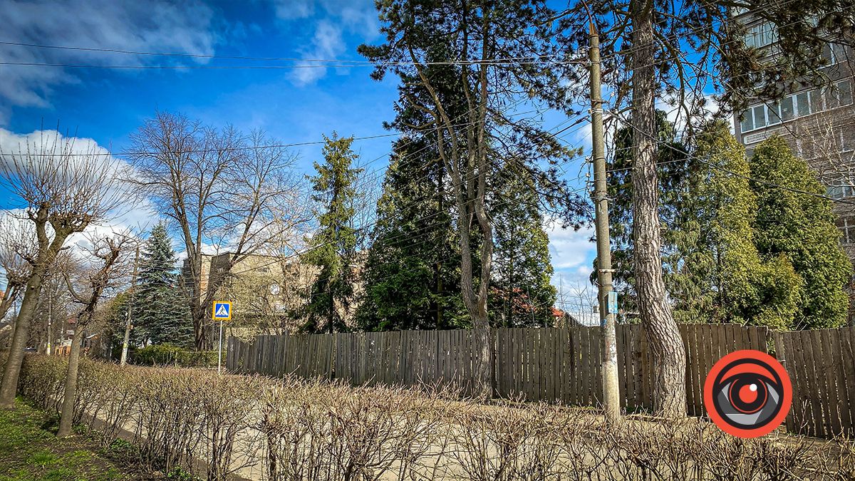 Прасольний кінець та колонія Баґінсберг: історія вулиці Петлюри у Коломиї 12