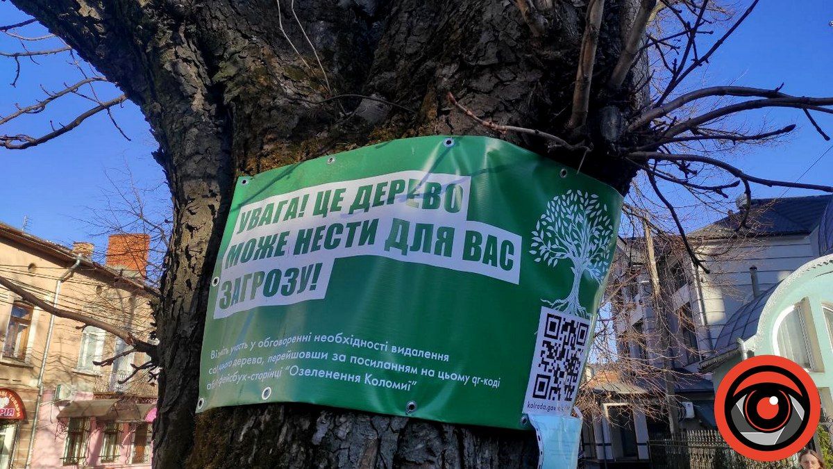 Що нарубали озеленювачі в Коломиї: вражаюча п’ятирічка | частина 2 1