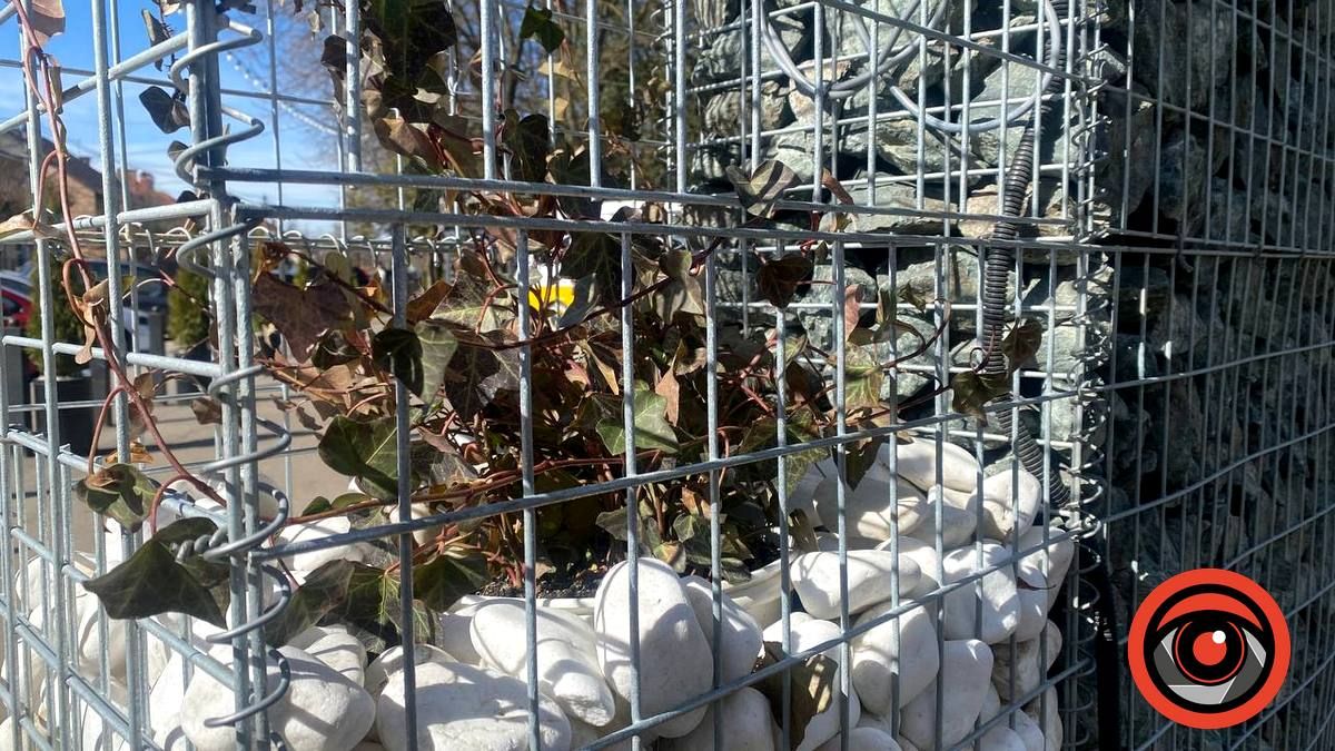 Почули і виправили: дороговартісну "клумбу" на озері ім. Руфа переробили 5