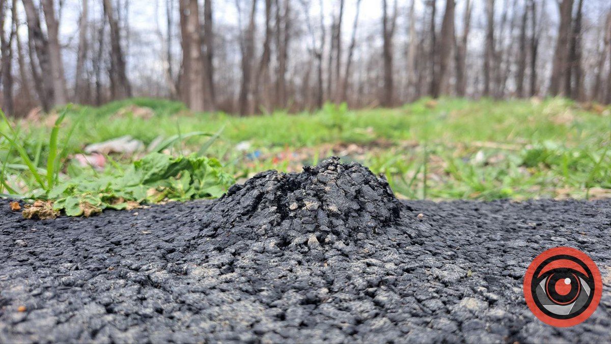 Бур'ян пробив асфальт: нових доріжок на кладовищі у Коломиї надовго не вистачило 1