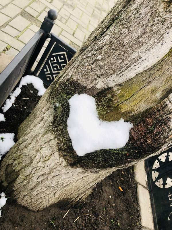 Місто в циклоні Norbert очима коломиян | Добірка фото 17