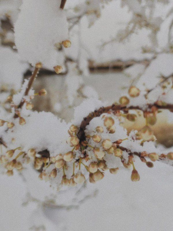 Місто в циклоні Norbert очима коломиян | Добірка фото 18