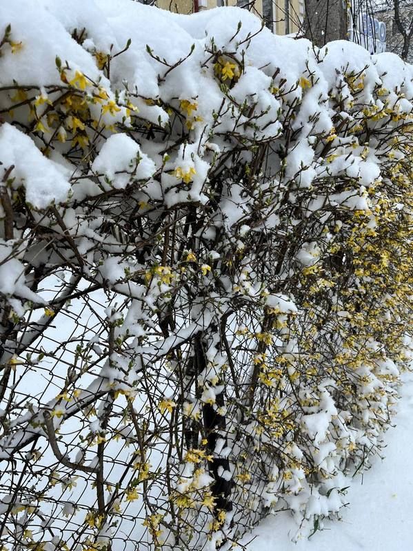 Місто в циклоні Norbert очима коломиян | Добірка фото 20