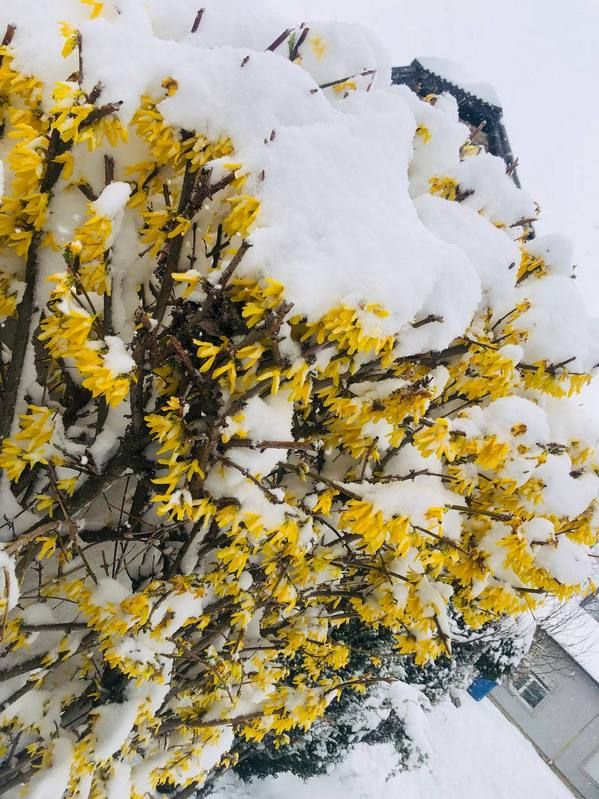 Місто в циклоні Norbert очима коломиян | Добірка фото 24