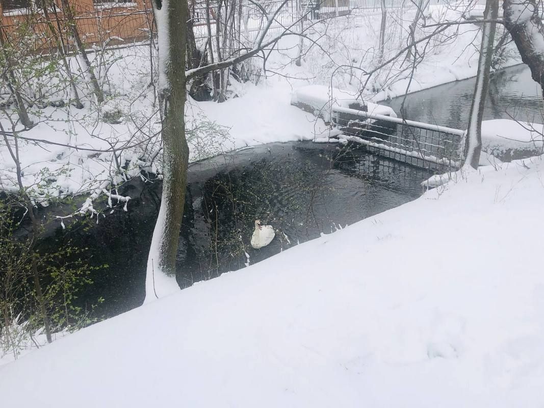 Місто в циклоні Norbert очима коломиян | Добірка фото 25