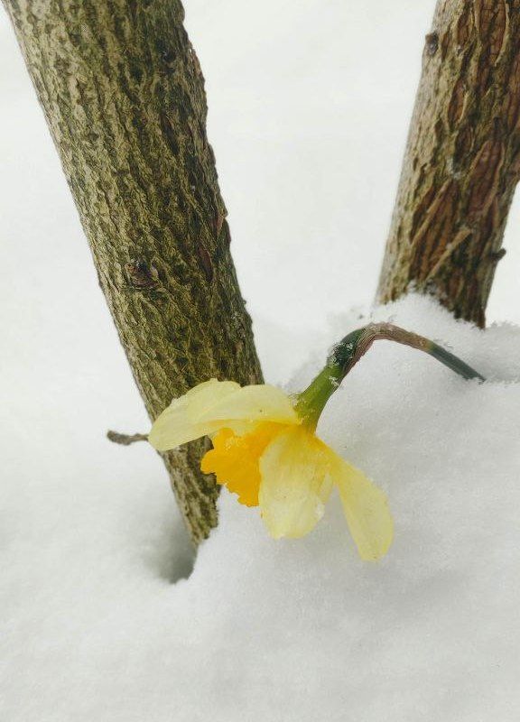 Місто в циклоні Norbert очима коломиян | Добірка фото 30