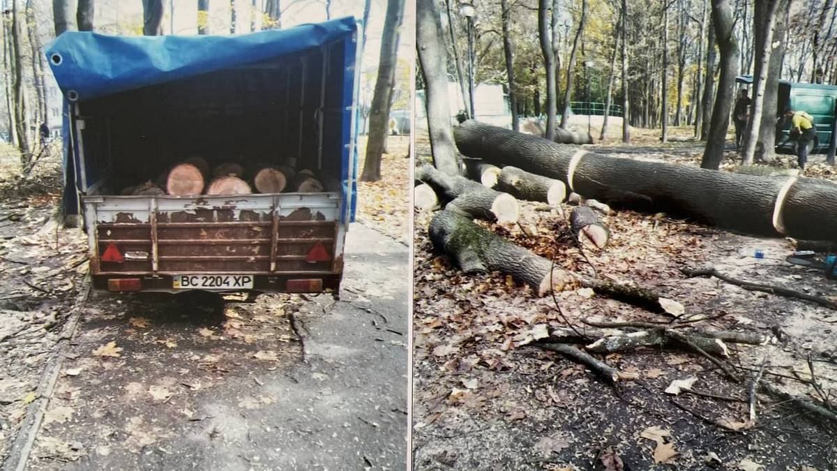 фото Василя Лютака