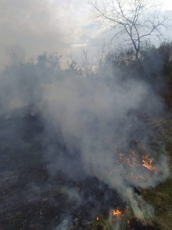 Суха трава 2.0. Коломийські пожежники знову вирушили на гасіння вогню 1