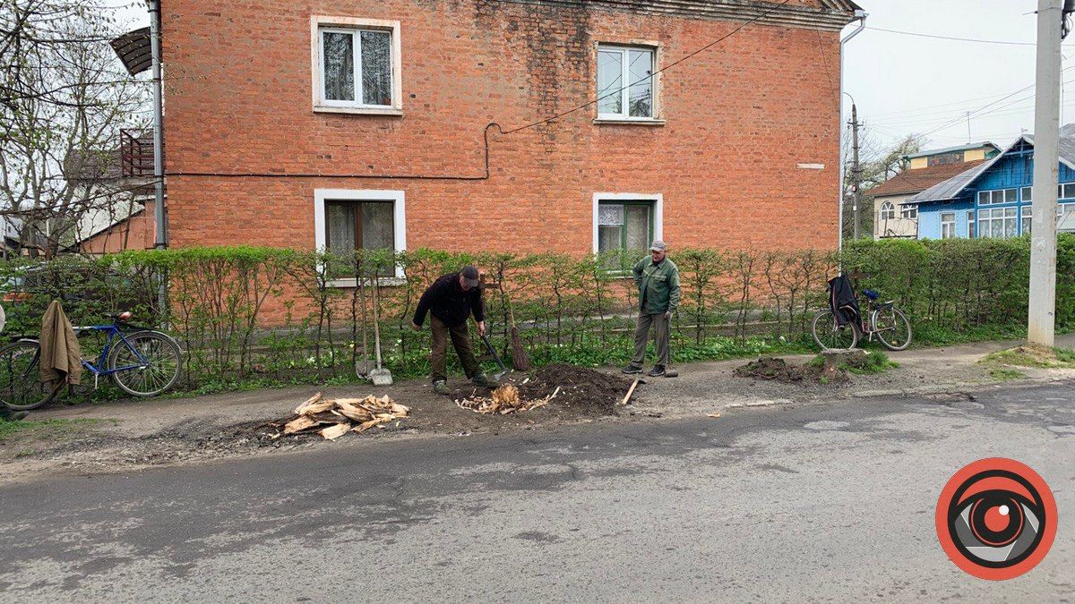 На вул. Степана Тарабалки викорчовують пні