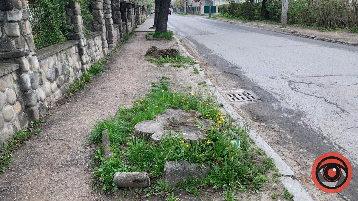 На вул. Степана Тарабалки викорчовують пні 3