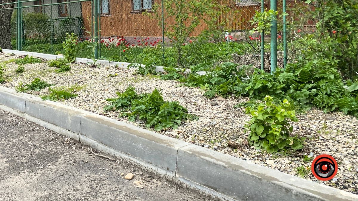 На вулиці Старицького у Коломиї відсутній тротуар 4