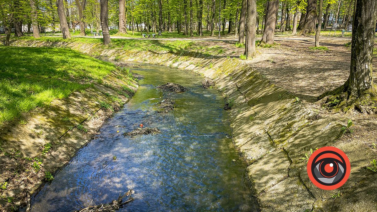 Болюче питання: як виглядають парки Коломиї та Моршина 22