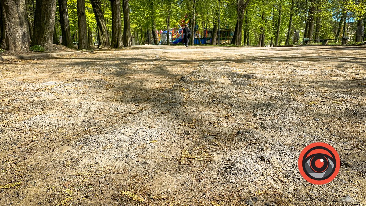 Болюче питання: як виглядають парки Коломиї та Моршина 25