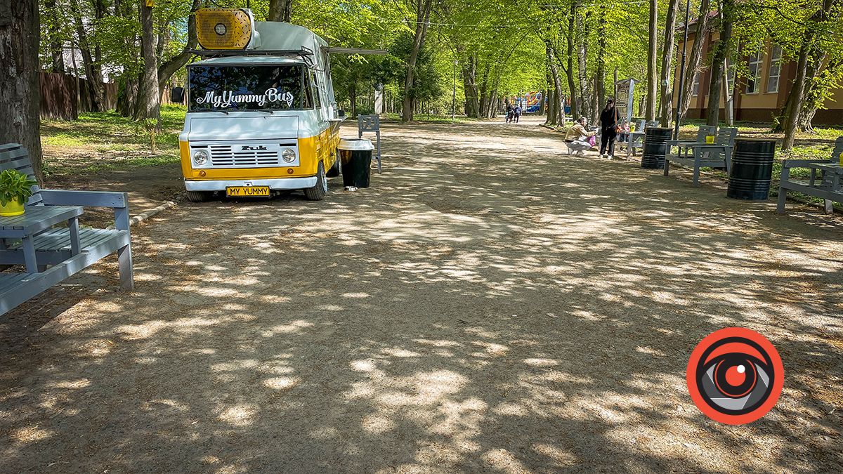 Болюче питання: як виглядають парки Коломиї та Моршина 27