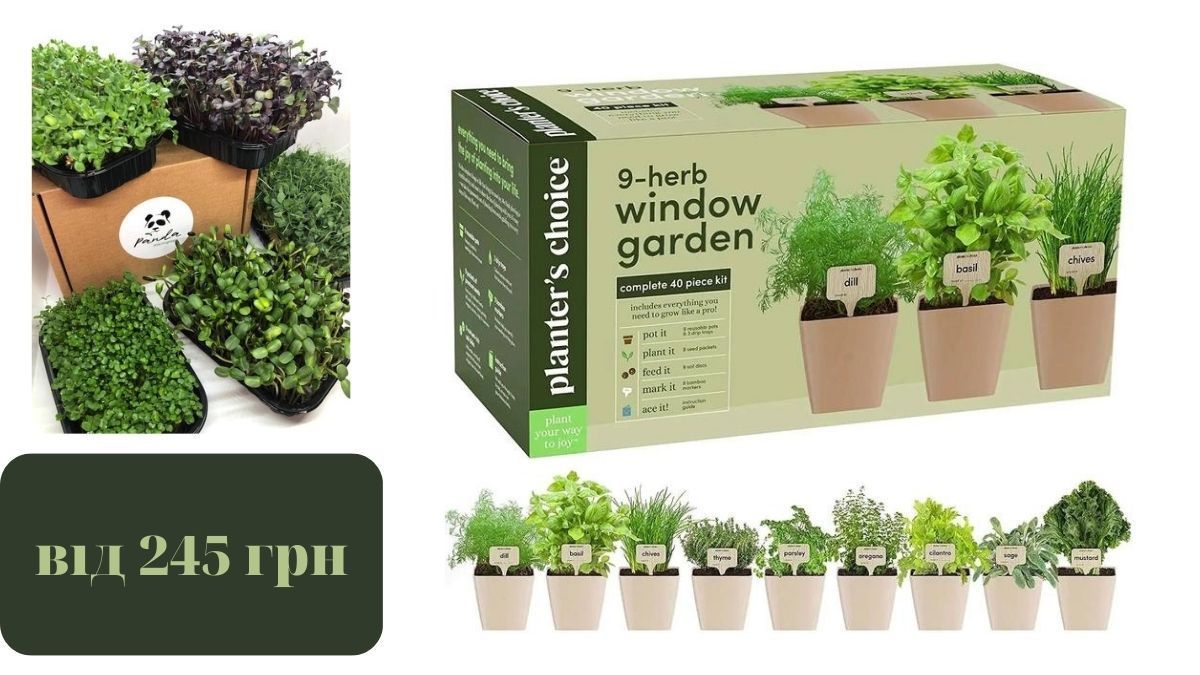 Ідеї для грядки в квартирі: обираємо компактні та вмісткі контейнери 4