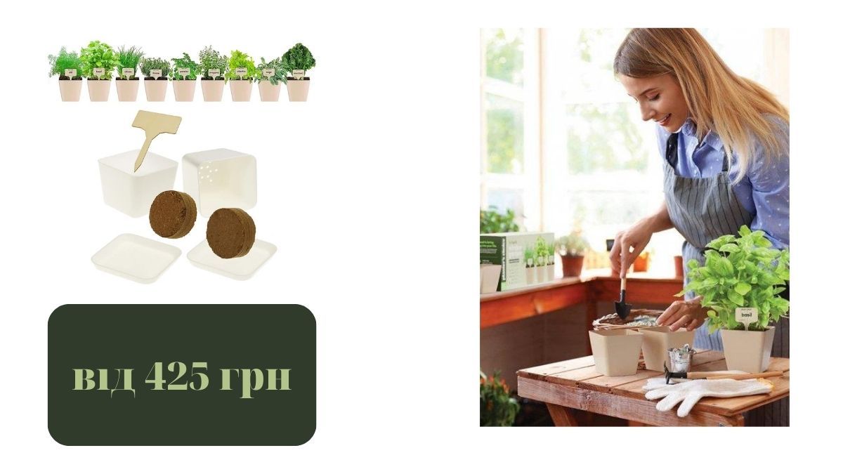 Ідеї для грядки в квартирі: обираємо компактні та вмісткі контейнери 5