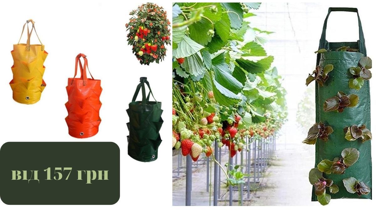 Ідеї для грядки в квартирі: обираємо компактні та вмісткі контейнери 3