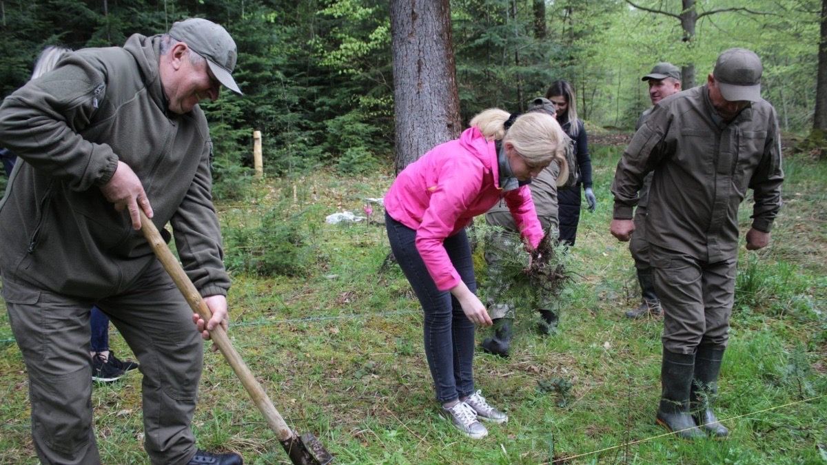 На Косівщині висадили дерева 2