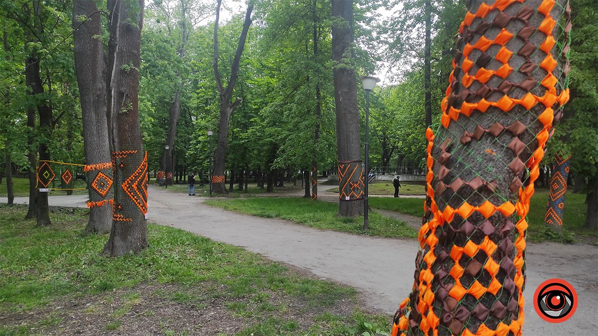 У міському парку Коломиї до Дня вишиванки прикрасили дерева 1