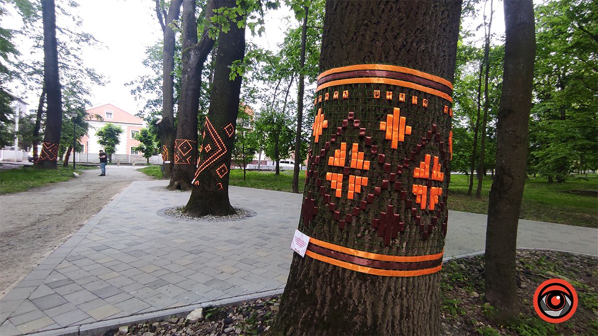 У міському парку Коломиї до Дня вишиванки прикрасили дерева 8