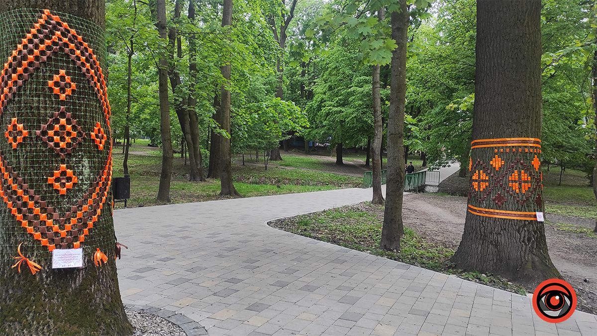 У міському парку Коломиї до Дня вишиванки прикрасили дерева 9