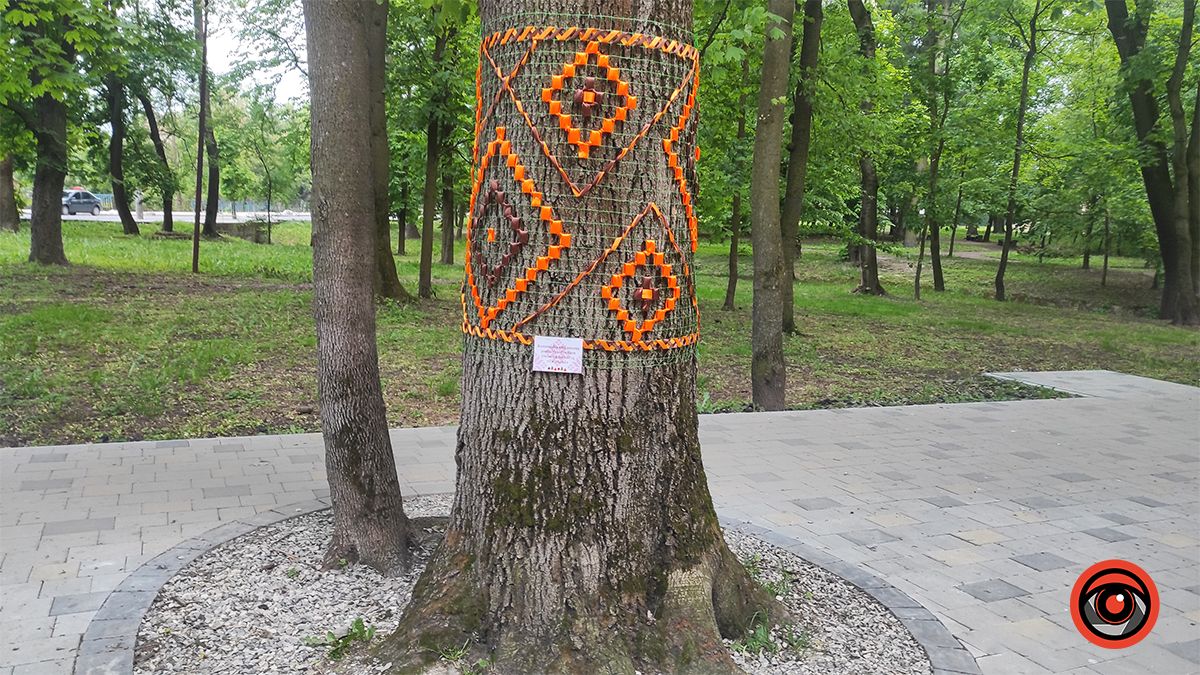 У міському парку Коломиї до Дня вишиванки прикрасили дерева 10